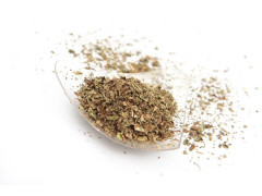 Bazalka 250g Progast