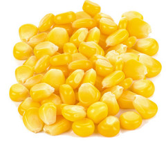 Mraz.Zel.Kukurica extra sladk� 2,5kg Equus(Mrazen�)